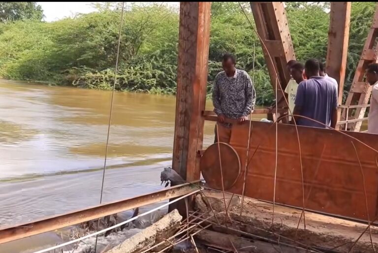 Wabiga Shabeelle oo ku fatahay xaafadaha Degmada Buula Burde ee gobolka Hiiraan.