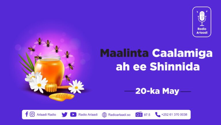 Barnaamij Gaar ah Ee Ku Saabsan Maalinta Caalamiga ah Ee Shinada Aduunka