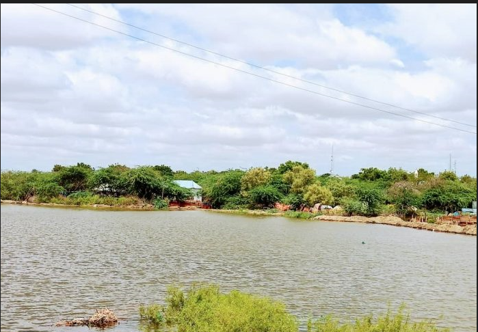 Wabiga Shabelle oo ku fatahay qeybo kamid ah xaafadaha Baladweyne