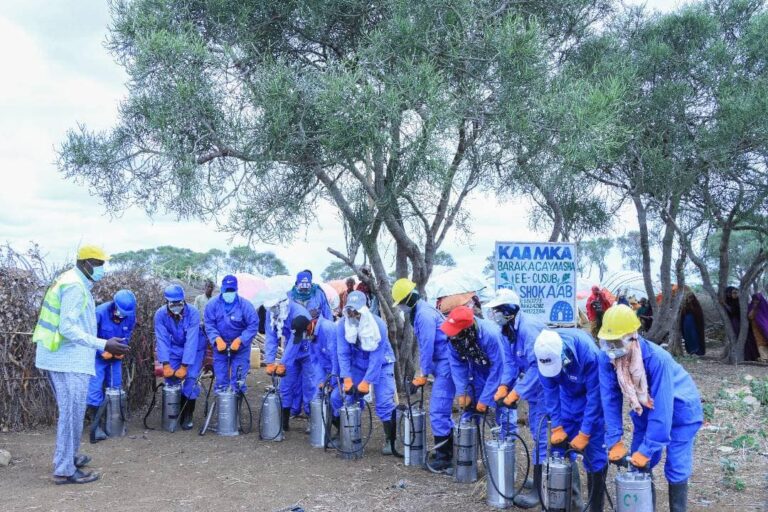 Olole Cayayaanka loogu buufinayo dadka Barakacayaasha Oo Baydhabo Ka bilowdey