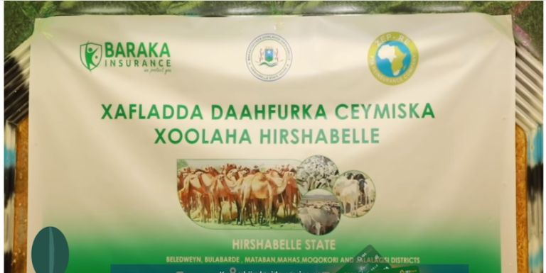 Ceymiska Xoolaha Hirshabelle Oo Lagu Dah-Furay Magaalada Baladweyne