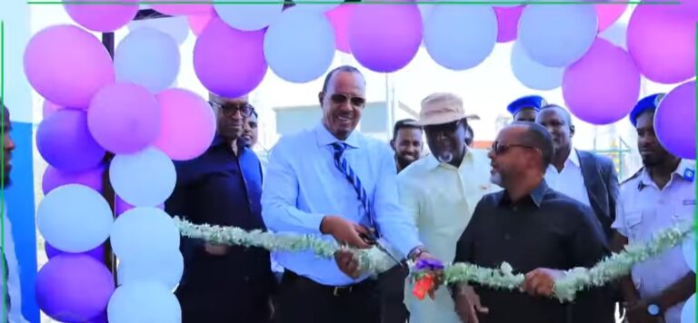 Qalab Casri ah lagu soo kordhiyay Dekedda Berbera Oo Xariga laga jarey.