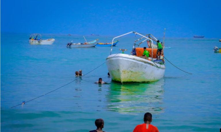 Kalluumaysatada Puntland Oo ka Cabanaya kalluun yari soo wajahdey