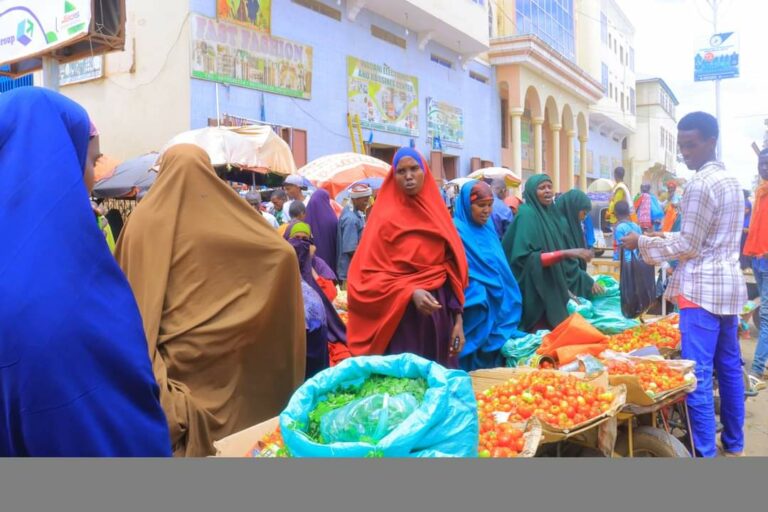 Hoos u dhac xooggan Oo laga dareemayo Qiimaha khudaarta Suuqyada Magaalada Baydhabo.