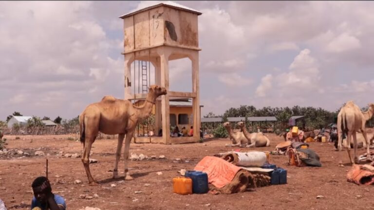 Xoolaleyda Degmada Aadan Yabaal Oo ka Cabanaya biyo yari.