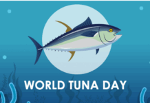 Barnaamij Gaar ah Oo Ku Saabsan Maalinta Kalluunka Toona Ee Arlaadi Radio