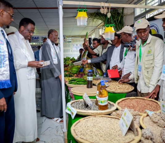 Bandhiga Todobaadka Nabada Oo Baydhabo Ka socda