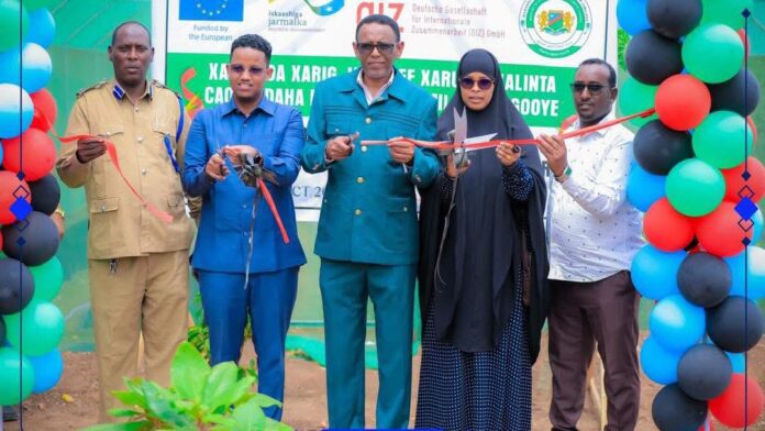 d1a86fdf-432d-44e8-a815-702c7c3a1b02